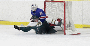 into-the-net